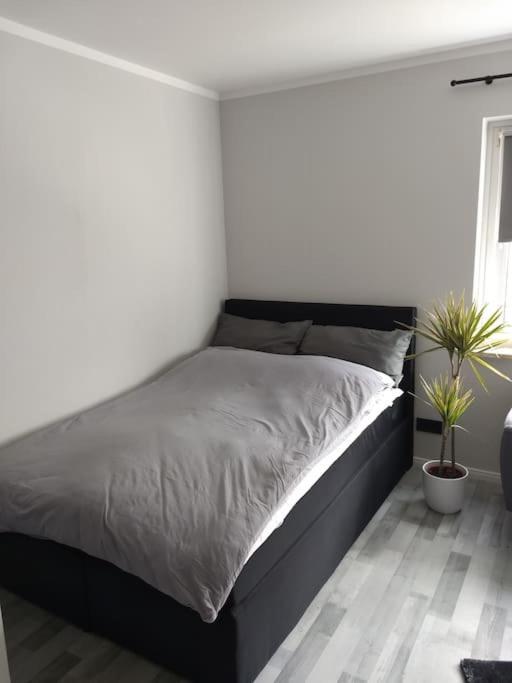 Apartment In Bremerhaven Ngoại thất bức ảnh